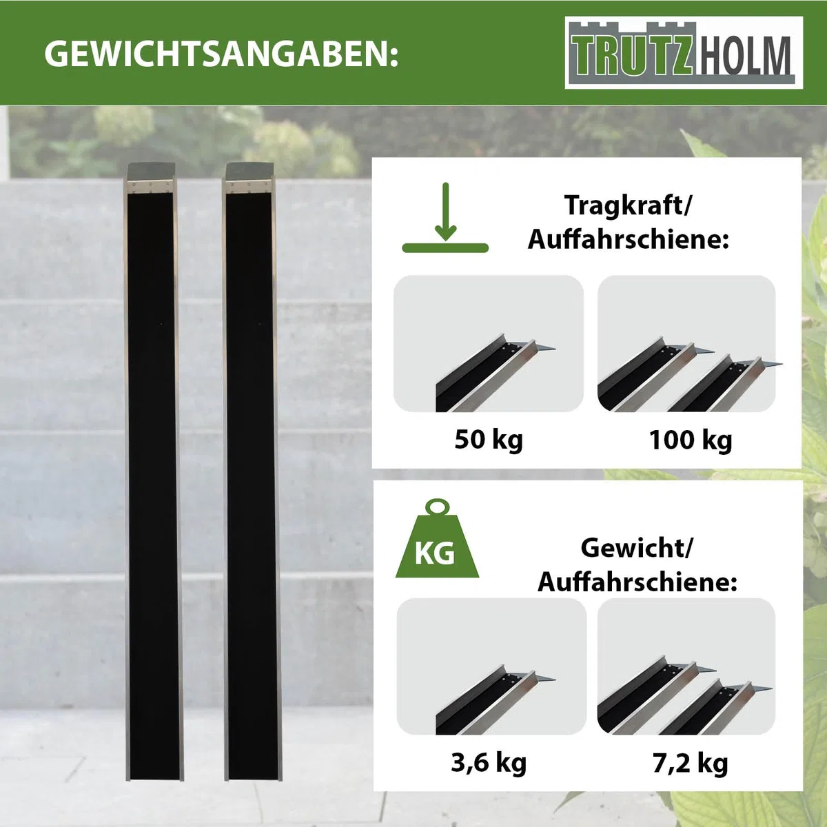 TRUTZHOLM 2X Auffahrschiene Alu Gesamtlänge 194 cm Traglast 50 kg je Rampe Anti-Rutsch Beschichtung Verladeschiene für E-Bike Fahrrad Pedelec Treppenrampe Fahrradrampe Auffahrrampe Fahrrad